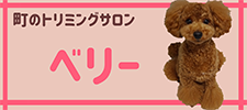 町のトリミングサロン ベリー
